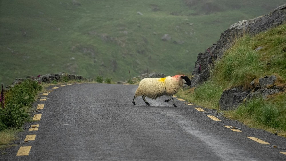 L’etape Ireland 2024