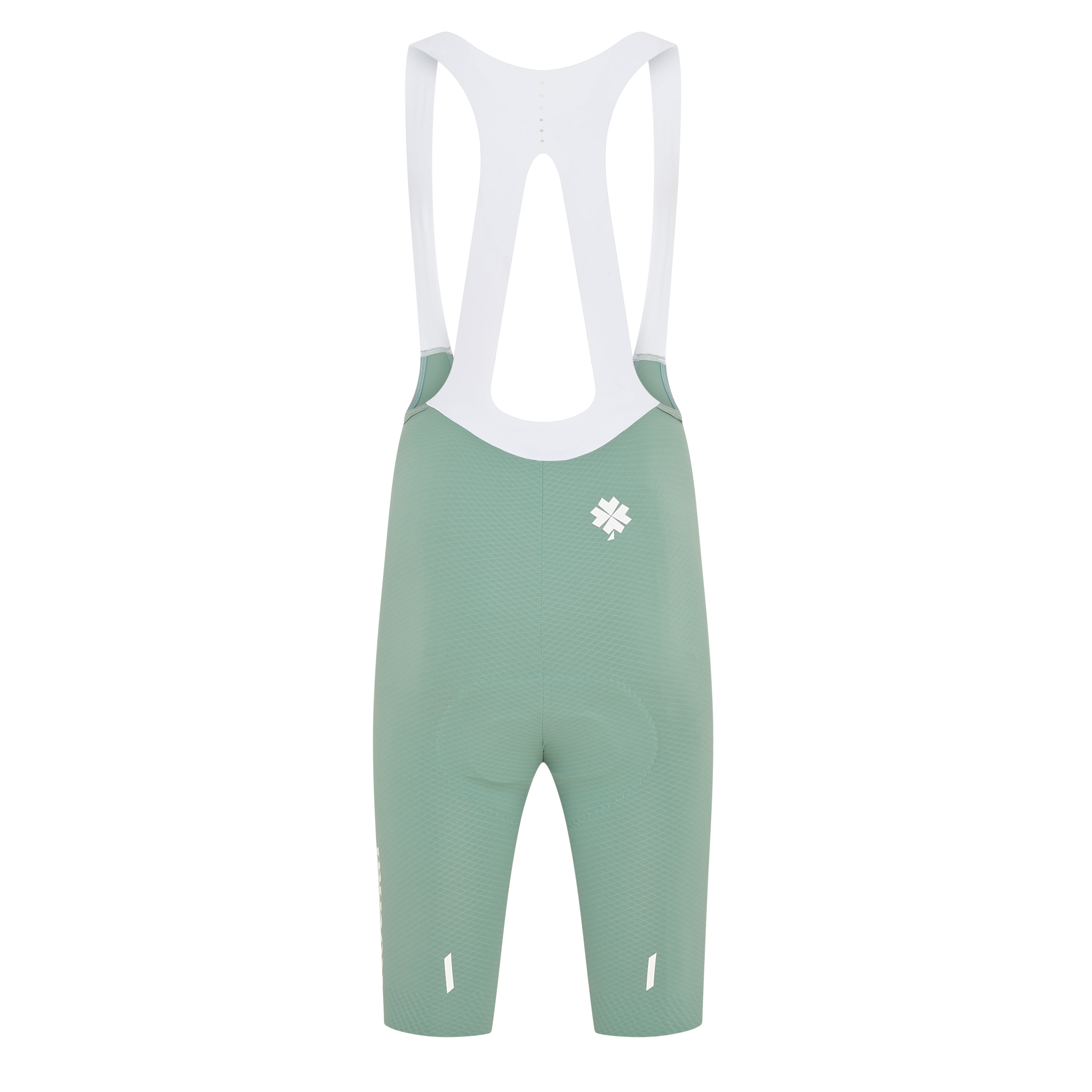 Performance Seamless Bib Shorts